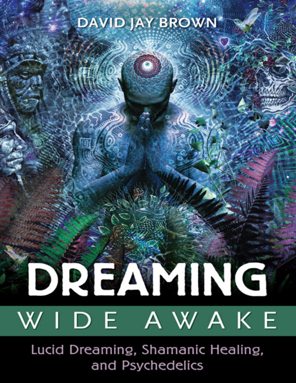 Dreaming Wide Awake David Jay Brown