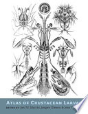 Atlas Of Crustacean Larvae Illustrated Joel W Martin Jrgen Olesen