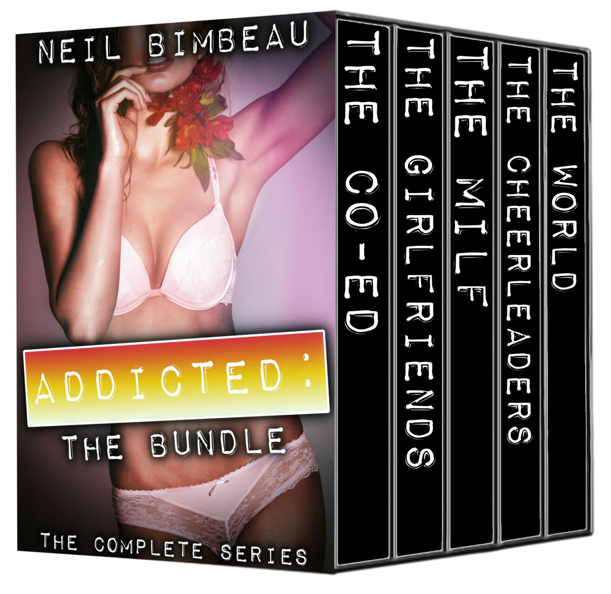 Addicted The Bundle The Masters Taste The Complete Series 1st Edition Bimbeau