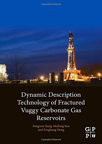 Dynamic Description Technology Of Fractured Vuggy Carbonate Gas Reservoirs 1st Edition Hedong Sun