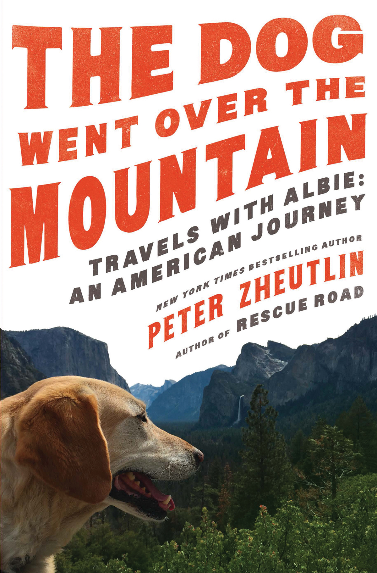 The Dog Went Over The Mountain Peter Zheutlin