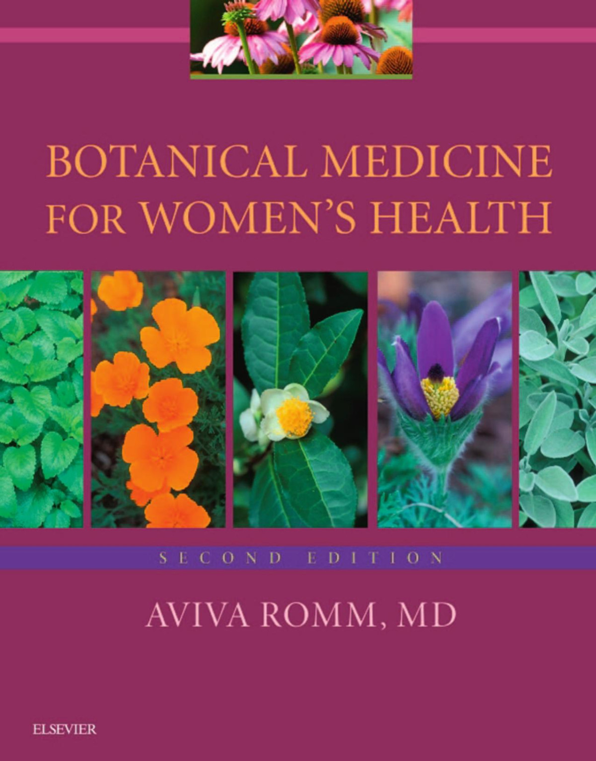 Botanical Medicine For Womens Health Aviva Romm Md