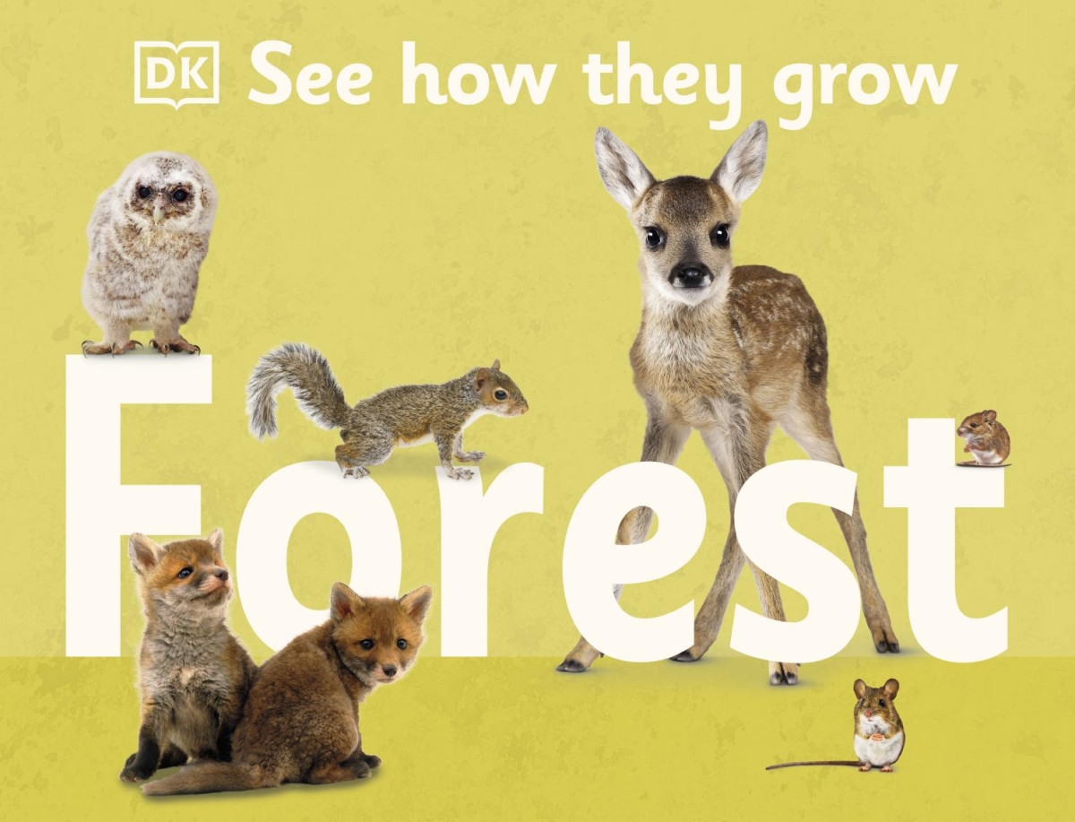 See How They Grow Forest Dk