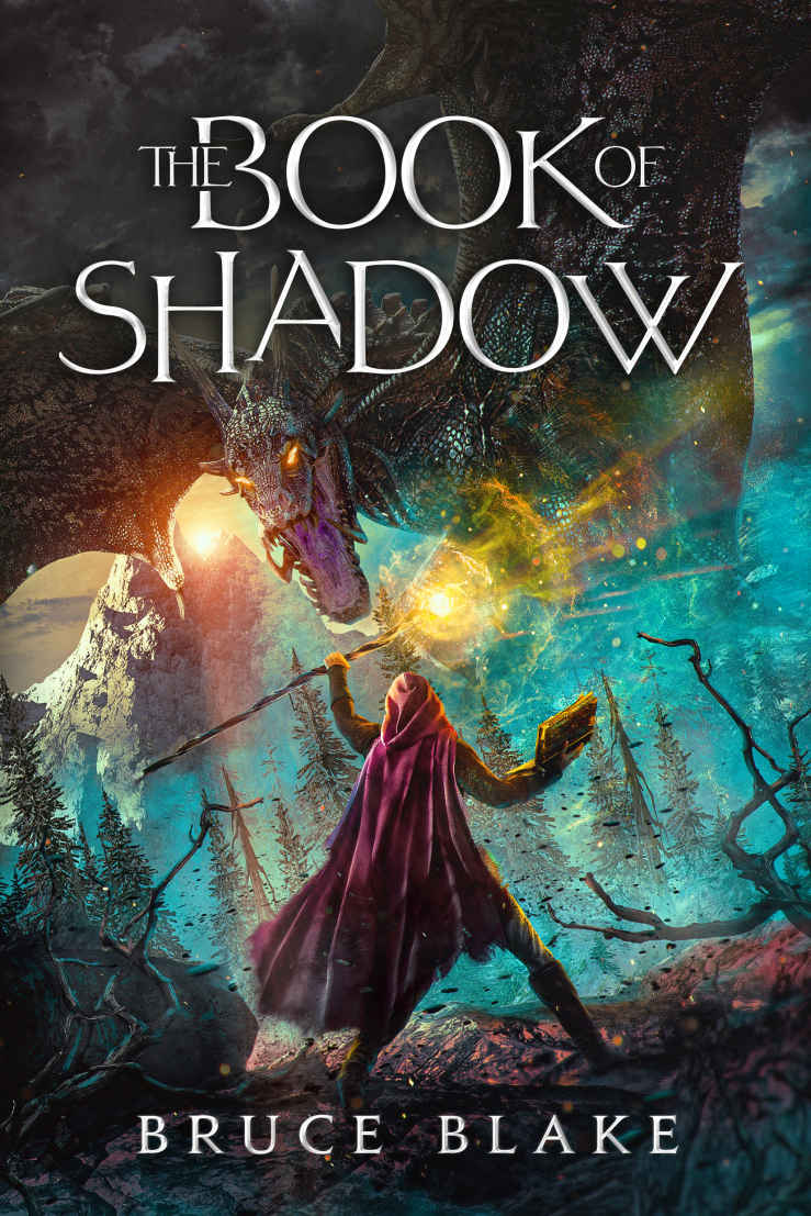 The Book Of Shadow Bruce Blake