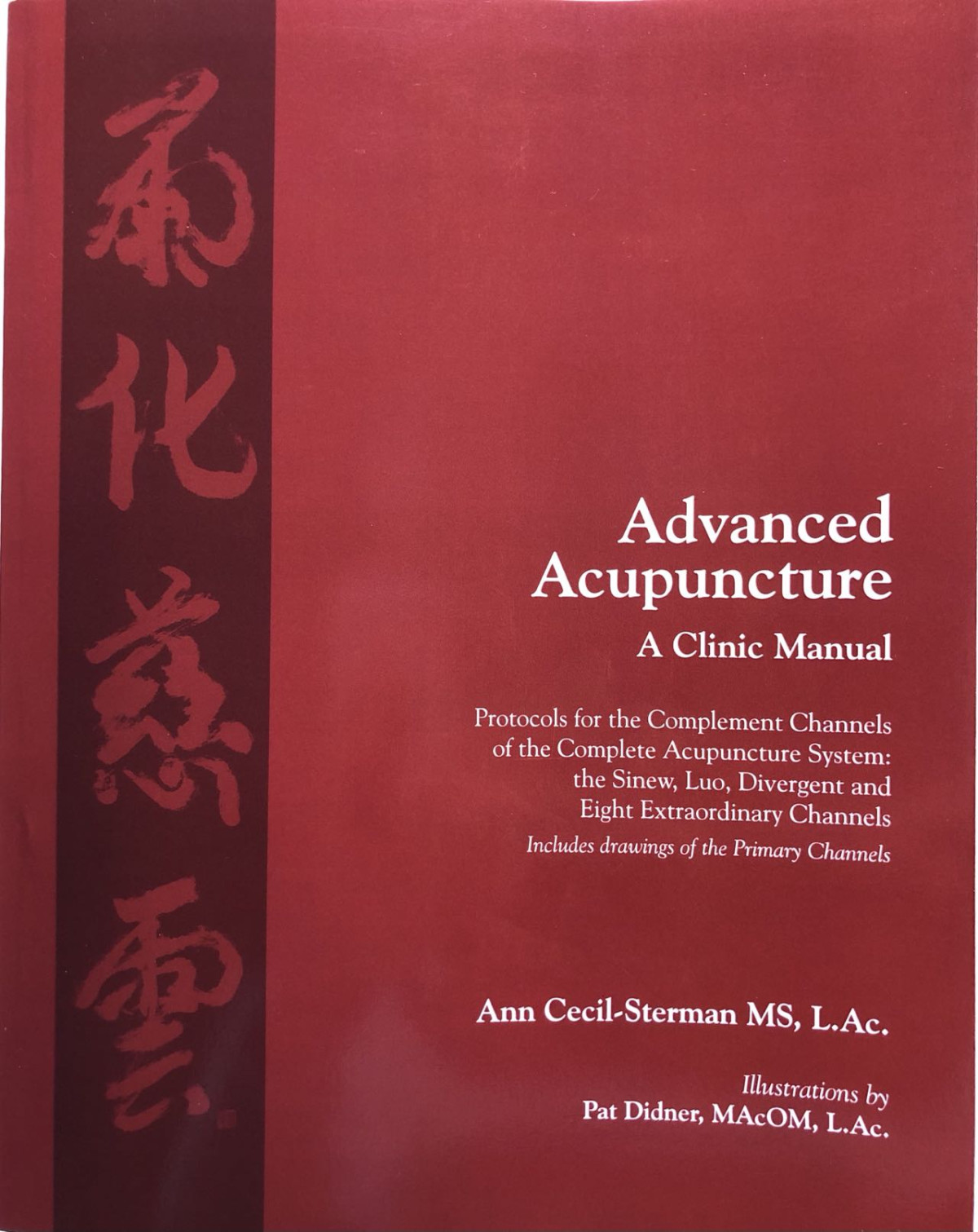 Advanced Acupuncture A Clinic Manual Ann Cecilsterman