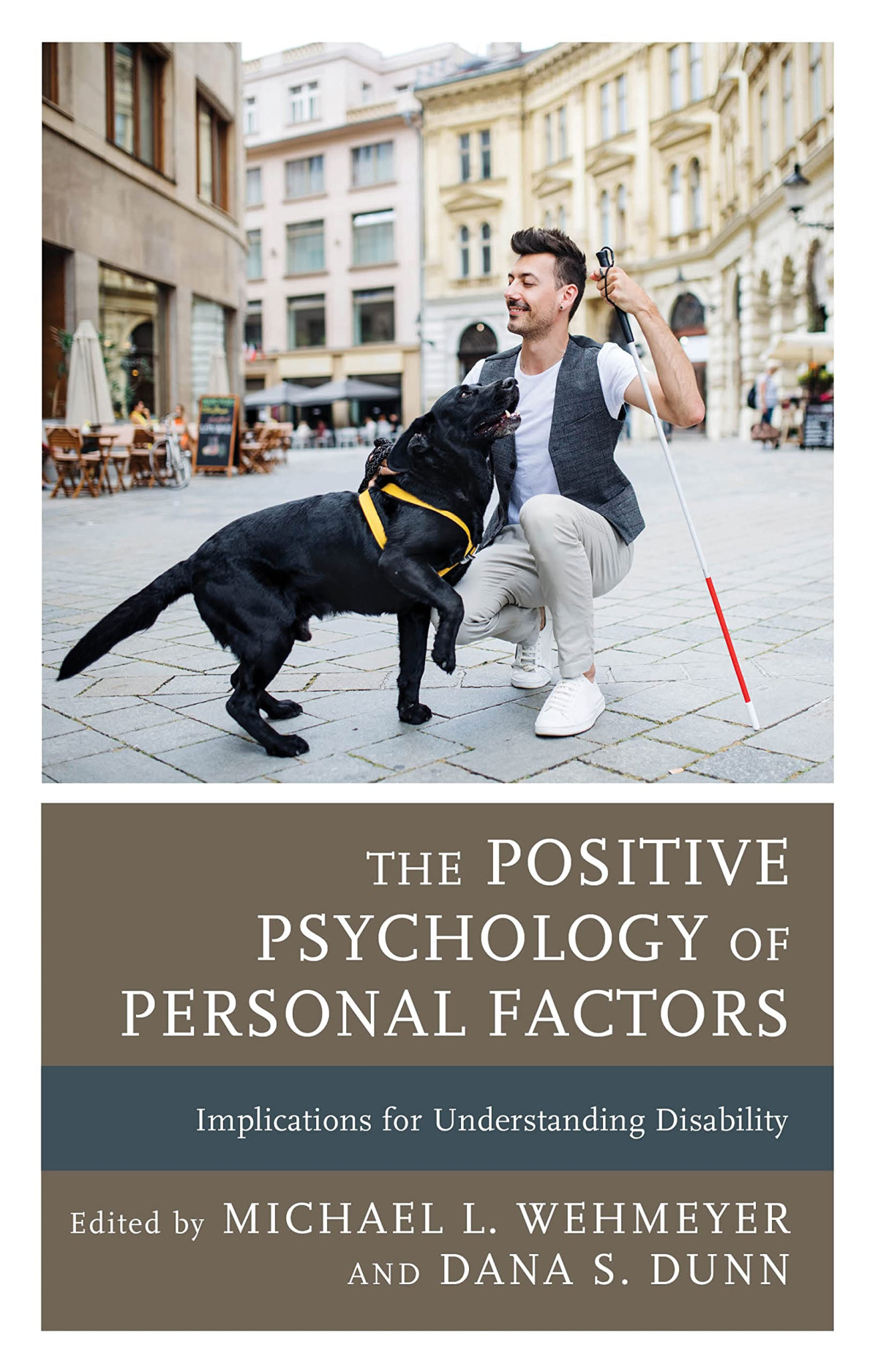 The Positive Psychology Of Personal Factors Implications For Understanding Disability Michael L Wehmeyer