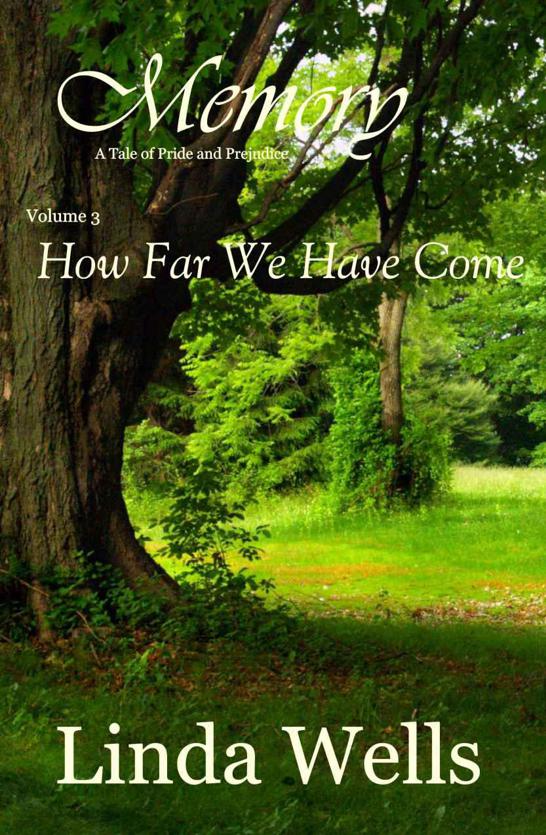 Memory Volume 3 How Far We Have Come A Tale Of Pride And Prejudice Linda Wells