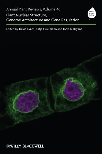 Plant Nuclear Structure Genome Architecture And Gene Regulation David Evans Editor