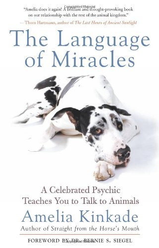 The Language Of Miracles Amelia Kinkade