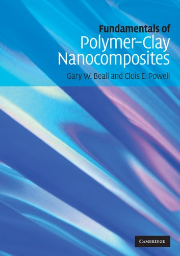 Fundamentals Of Polymerclay Nanocomposites Gary W Beall Clois E Powell