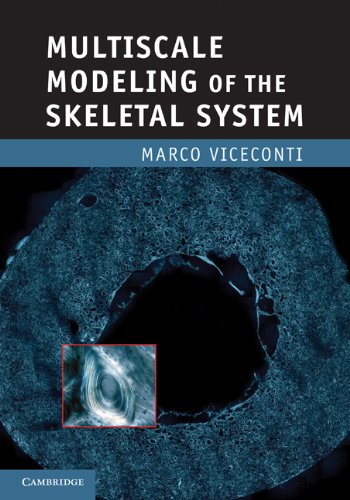 Multiscale Modeling Of The Skeletal System 1st Edition Marco Viceconti