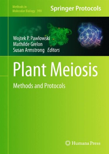 Plant Meiosis Methods And Protocols 1st Edition Susan Armstrong Auth