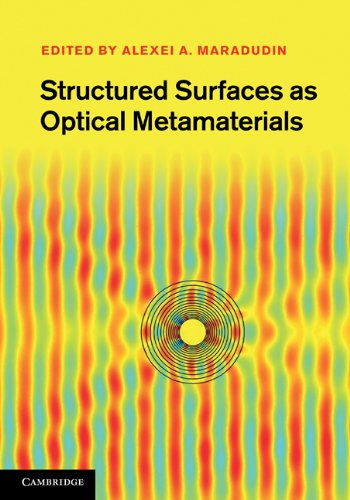 Structured Surfaces As Optical Metamaterials 1st Edition A A Maradudin