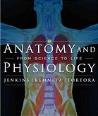 Anatomy And Physiology From Science To Life 2nd Ed Gail W Jenkins