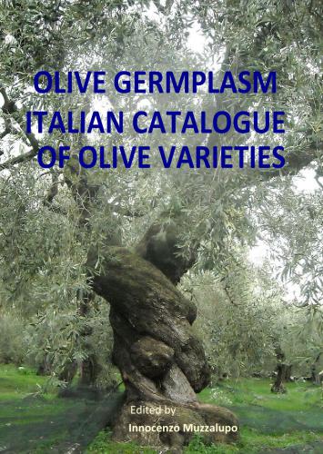 Olive Germplasm Italian Catalogue Of Olive Varieties Innocenzo Muzzalupo