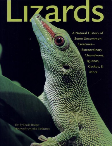 Lizards A Natural History Of Some Uncommon Creaturesextraordinary Chameleons Iguanas Geckos And More David P Badger John Netherton