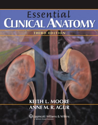 Essential Clinical Anatomy 3rd Ed Keith L Moore A M R Agur