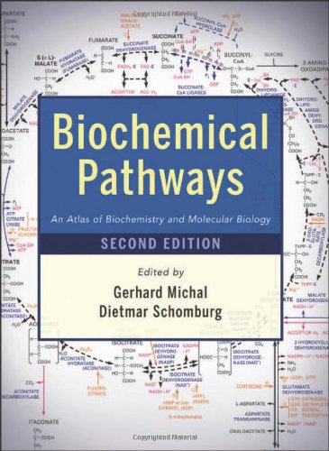 Biochemical Pathways An Atlas Of Biochemistry And Molecular Biology 2nd Edition Gerhard Michal