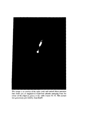 Black Hole Gravitohydromagnetics Grainy Scan B Punsly