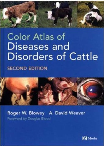Color Atlas Of Diseases And Disorders Of Cattle 2nd Ed R Blowey