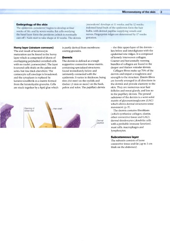 Dermatology An Illus Colour Text 3rd Ed D Gawkrodger