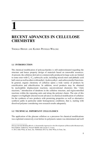 Polysaccharide Bldg Blocks A Sustbl Appr To Dev Of Renwbl Biomtls Y Habibi