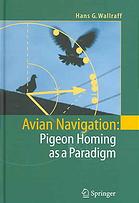Avian Navigation Pigeon Homing As A Paradigm Hans G Wallraff