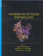 Handbook Of Food Enzymology John R Whitaker A G J Voragen Dominic W S Wong