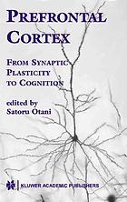Prefrontal Cortex From Synaptic Plasticity To Cognition Satoru Otani