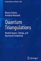 Quantum Triangulations Moduli Spaces Strings And Quantum Computing 1st Edition Mauro Carfora