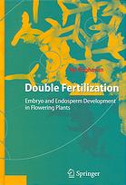 Double Fertilization Embryo And Endosperm Development In Flowering Plants V Raghavan