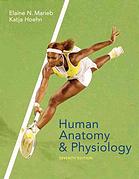 Human Anatomy Physiology 7th Ed Elaine Nicpon Marieb Katja Hoehn