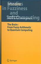 The Brain Fuzzy Arithmetic To Quantum Computing A F Rocha Eduardo Massad