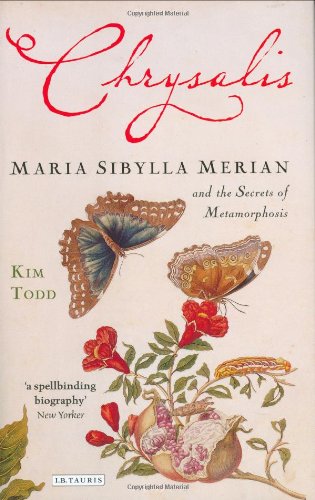 Chrysalis Maria Sibylla Merian And The Secrets Of Metamorphosis Kim Todd