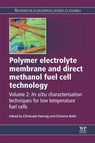 Polymer Electrolyte Membrane And Direct Methanol Fuel Cell Technology Volume 2 In Situ Characterization Techniques For Low Temperature Fuel Cells Dr Christoph Hartnig
