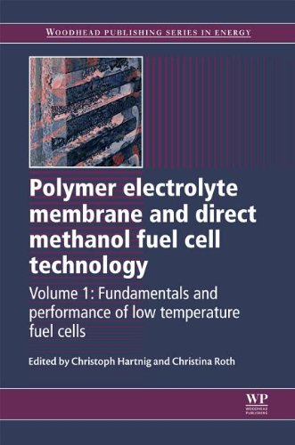 Polymer Electrolyte Membrane And Direct Methanol Fuel Cell Technology Volume 1 Fundamentals And Performance Of Low Temperature Fuel Cells Dr Christoph Hartnig