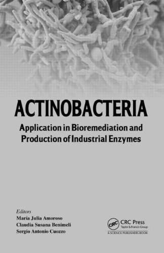 Actinobacteria Application In Bioremediation And Production Of Industrial Enzymes Mara Julia Amoroso