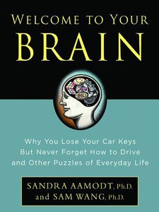 Welcome To Your Brain Why You Lose Your Car Keys But Never Forget How To Drive And Other Puzzles Of Everyday Life Sam Wang