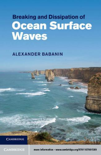 Breaking And Dissipation Of Ocean Surface Waves Alexander V Babanin