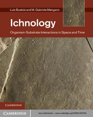 Ichnology Organismsubstrate Interactions In Space And Time Luis A Buatois M Gabriela Mangano