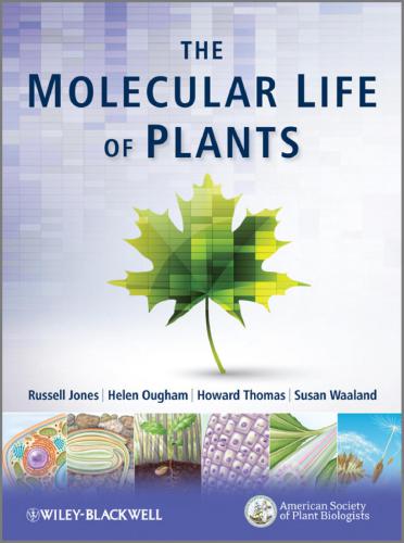 The Molecular Life Of Plants Russell L Jones Et Al