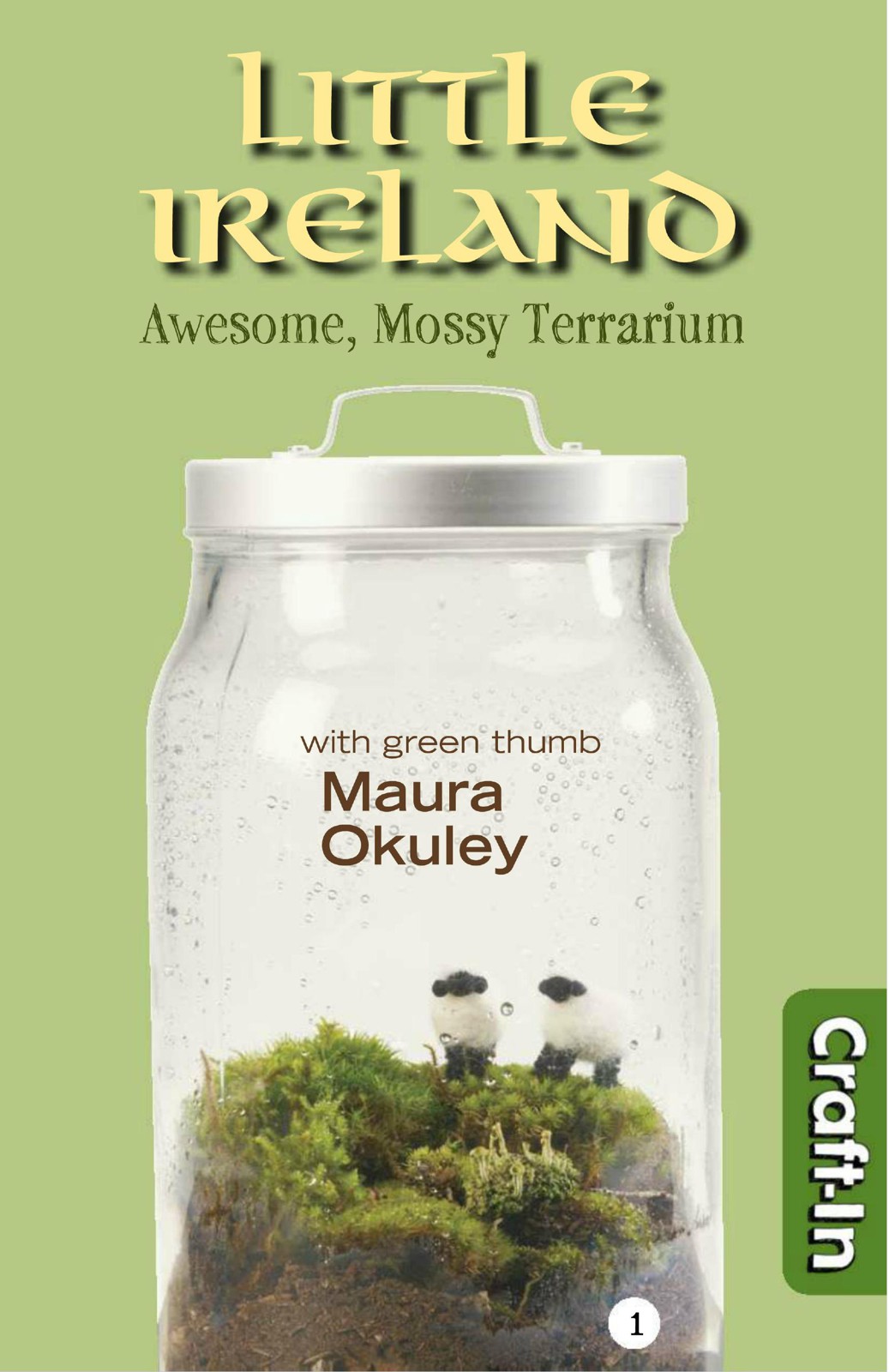 Little Ireland Terrarium Maura Okuley Okuley Maura