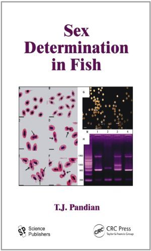 Sex Determination In Fish Pandian T J
