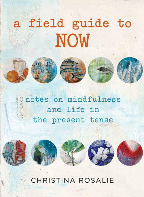 A Field Guide To Now Notes On Mindfulness And Life In The Present Tense Christina Rosalie
