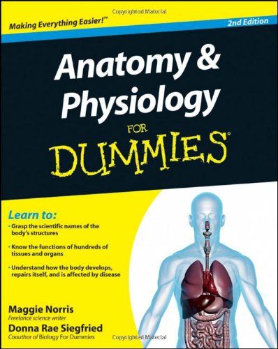 Anatomy And Physiology For Dummies 2nd Edition Maggie Norris