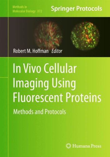 In Vivo Cellular Imaging Using Fluorescent Proteins Methods And Protocols 2012th Edition Robert Hoffman
