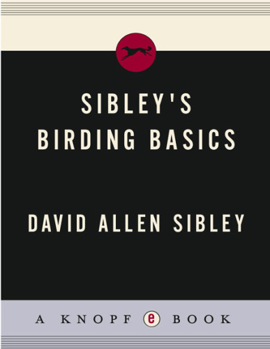 Sibleys Birding Basics David Allen Sibley