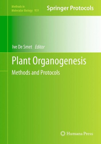 Plant Organogenesis Methods And Protocols 1st Edition Yogev Burko