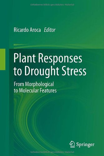 Plant Responses To Drought Stress From Morphological To Molecular Features 1st Edition M Farooq