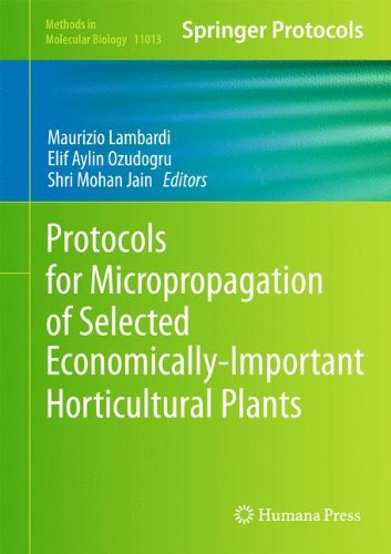 Protocols For Micropropagation Of Selected Economicallyimportant Horticultural Plants 1st Edition Barbara M Reed